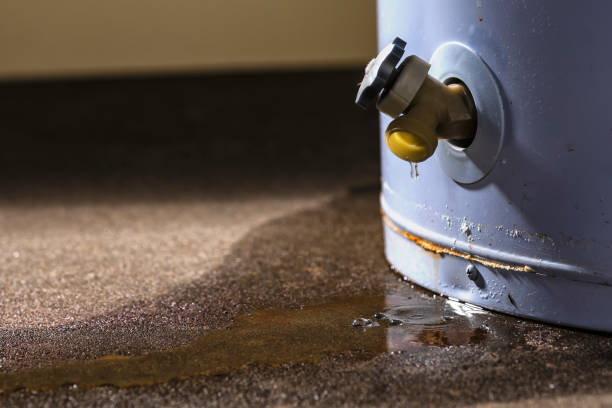 Best Water damage restoration near me  in Blue Mound, IL