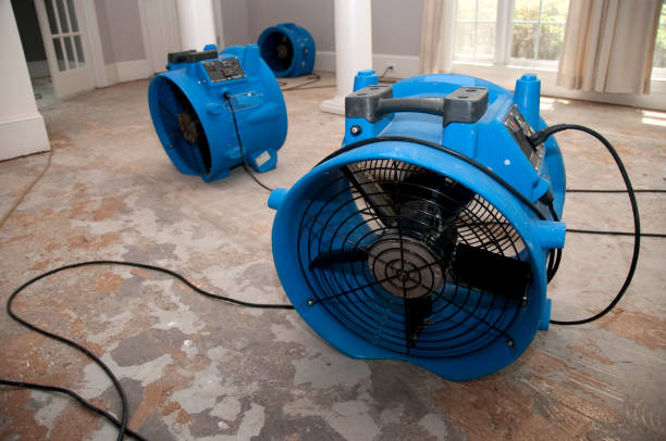Best Emergency water damage restoration  in Blue Mound, IL