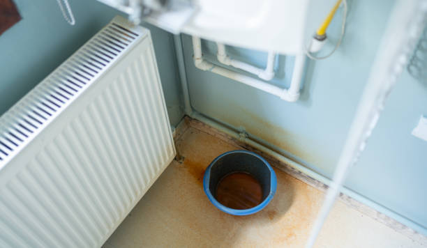 Best Fire Damage Restoration  in Blue Mound, IL