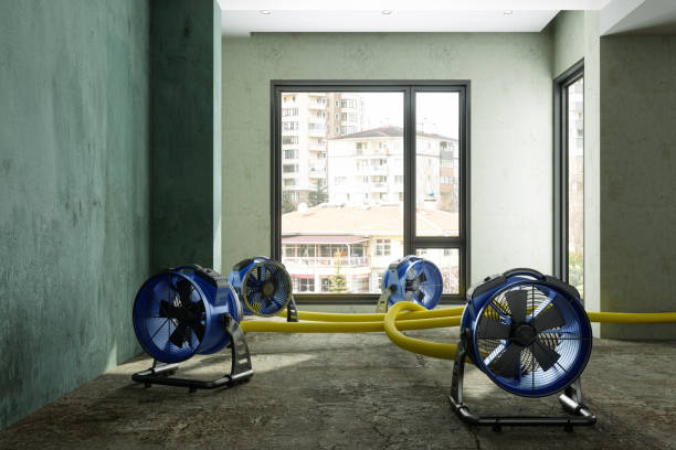 Best Flood restoration services  in Blue Mound, IL