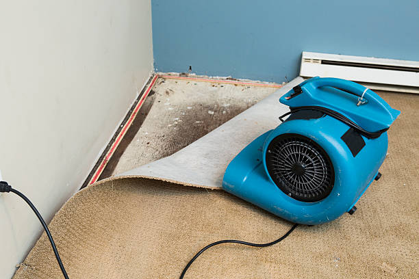 Best Commercial water damage restoration  in Blue Mound, IL